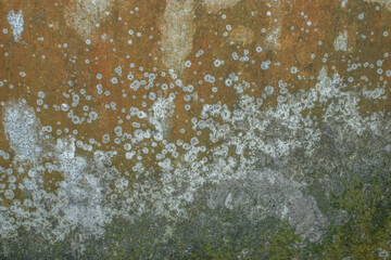 abstract wall texture background, old cement wall background