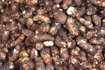 healthy Arbi stock on shop