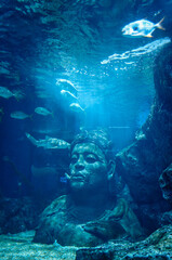 under the sea in thailand