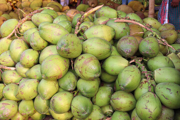 raw coconut stock on shop for sell