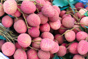 litchi bunch so shop for sell