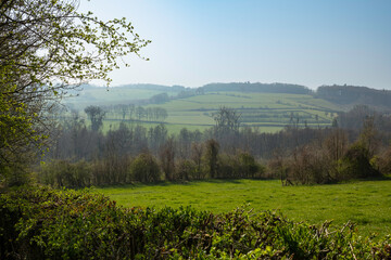 Fototapeta premium the landscape in the netherlands in south limburg with hills