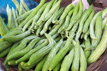 Snake Gourd stock on shop