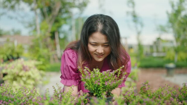 Asian female customer buys green plants at the garden store shop, A young lady chooses ornamental plants at a flower market, Home and Garden concept.