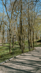 alley in the park