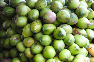 raw coconut stock on shop for sell