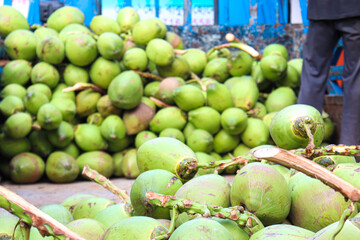 raw coconut stock on shop for sell