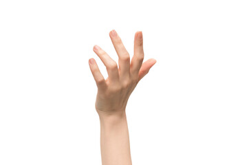 Woman hand isolated on a white background.