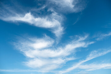 summer blue sky with white clouds.