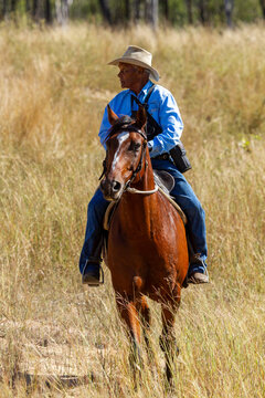 An 80 year old indigenous cattleman on horseback.