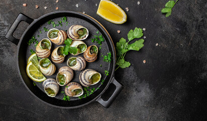 Delicious cooked sea escargo snails with herbs, butter, garlic on metal plate on a dark background....
