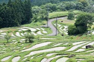 千枚田,三重県,田園,田植え,米,水田,日本の風景,熊野