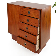 Gorgeous Product Photo of Rosewood Gentlemans Chest Dresser with houseplants on white background