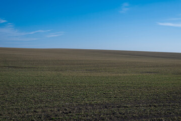 Ploughed field and blue sky as background.