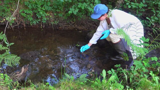 Taking a water sample from a stream into a test tube by woman inspector .