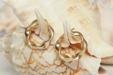 Earrings product shot. Golden hoops on marine shell background. Jewelry fashion photography.	
