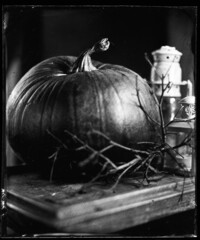 tintype wet plate collodion vintage photo of halloween pumpkin