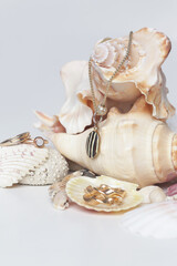 Gold jewelry on marine shell background. Jewelry fashion photography.	