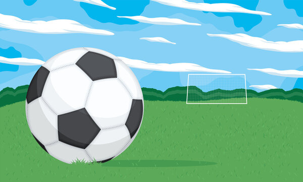 soccer balloon in grass