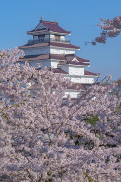 会津鶴ヶ城 の画像 9 件の Stock 写真 ベクターおよびビデオ Adobe Stock