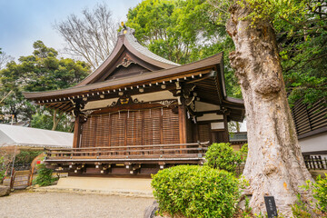神社　歴史建造物　大國魂神社　神社仏閣