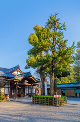 神社　歴史建造物　大國魂神社　神社仏閣