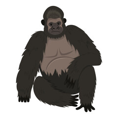 Gorilla sits leaning on its front paw. African black and gray animal with bare feet and face.