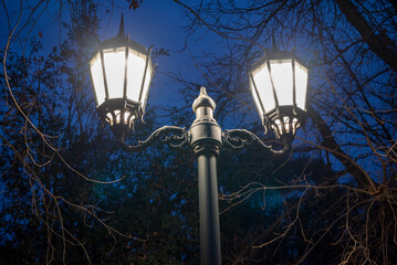 Park Night Lamp 