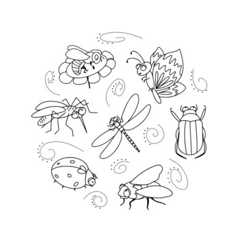 Insects with wings set: beetle, butterfly, ladybug, mosquito, bee, fly, dragonfly. Vector linear elements collection.