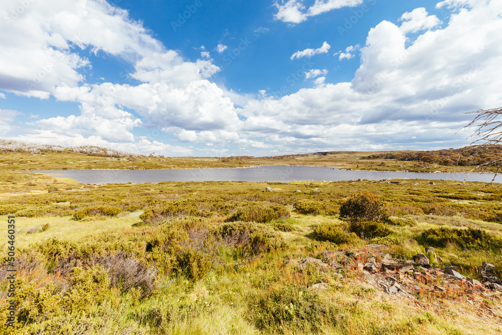 Poster Summer Landscape at Rocky Lake near Falls Creek Australia