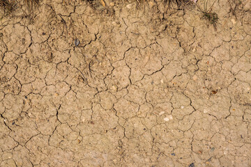 Close-up of cracks in the parched ground in Rhineland-Palatinate/Germany in early summer