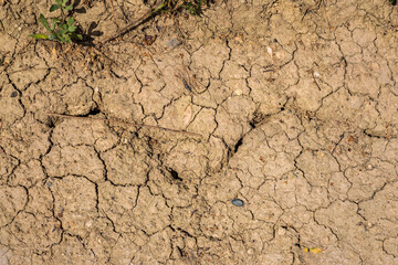 Close-up of cracks in the parched ground in Rhineland-Palatinate/Germany in early summer