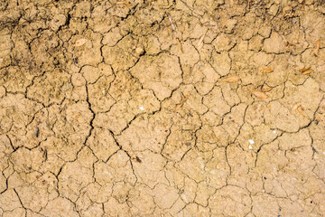 Close-up of cracks in the parched ground in Rhineland-Palatinate/Germany in early summer