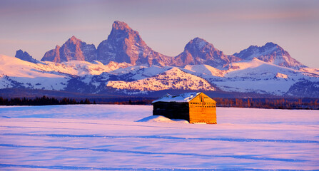 Tetons Mountains Sunset in Winter with Old Cabin Homestead Building