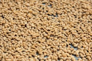 coffee beans background texture