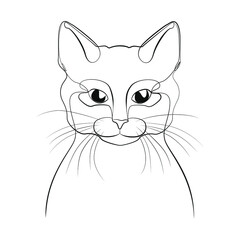 Cat one line drawing on white isolated background 