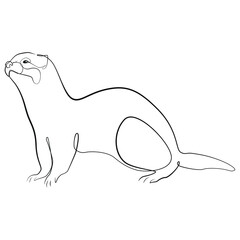 Ferret one line drawing on white isolated background 