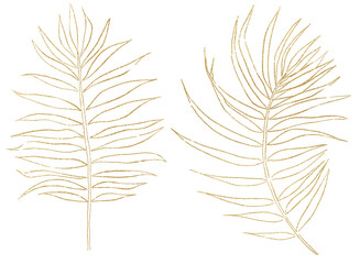Golden tropical watercolor palm leaves, outline illustration