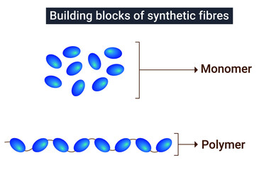 Building blocks of synthetic fibres: Monomer, Polymer