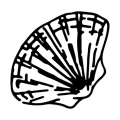 Seashell sketch clipart. Single doodle of mollusk shell isolated on white. Hand drawn vector illustration in engraving style.
