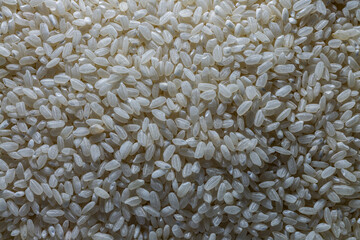 white dry rice crumbly round - grain