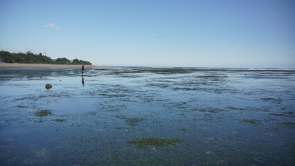 beautiful blue sky beach view with sun rays reflection over sea water	