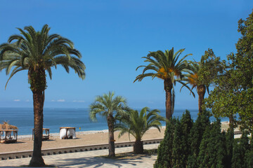 Beautiful view of the coast. City promenade with palm trees, bungalows, sea and blue sky. An empty pedestrian embankment. The embankment goes into the distance.