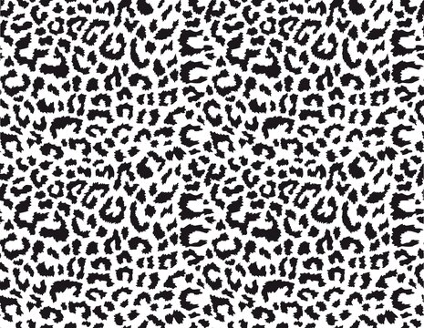 Leopard vector print, animal skin seamless pattern, black spots on white background.