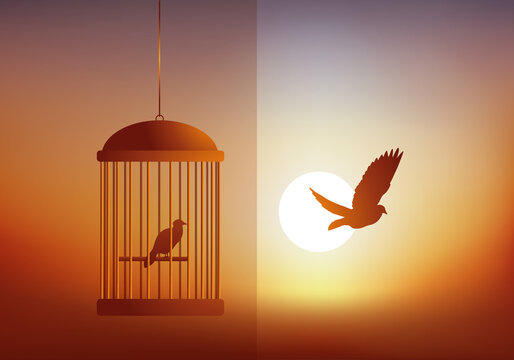 Concept de la liberté, avec un oiseau enfermé dans une cage qui en regarde un autre voler librement devant un coucher du soleil.