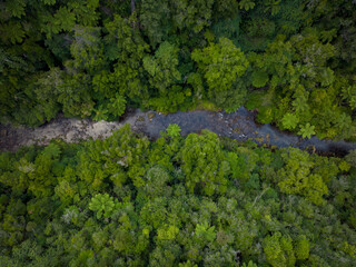 River in the forest seen from the aerial view of a drone