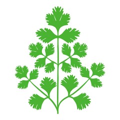 Parsley or cilantro herb vector icons