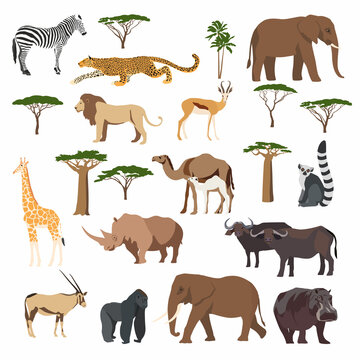 African animals. Set of various animals. Vector graphics