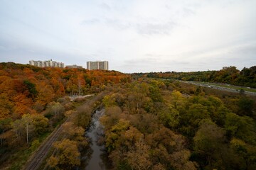 Fototapeta na wymiar Autumn foliage surrounded by sunlight during the fall season in Toronto, Ontario, Canada.