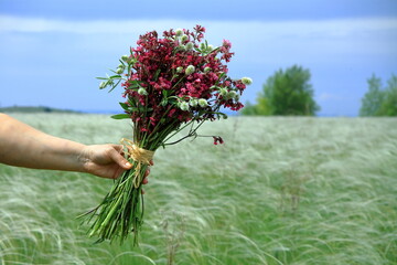 Flowers. holding a beautiful red bouquet of wildflowers. against the background of summer meadows and fields and the blue sky.